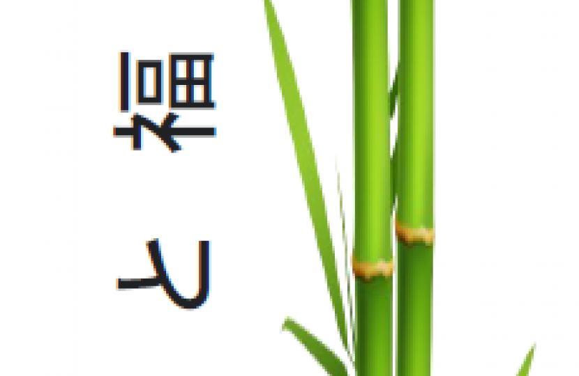 Bamboo