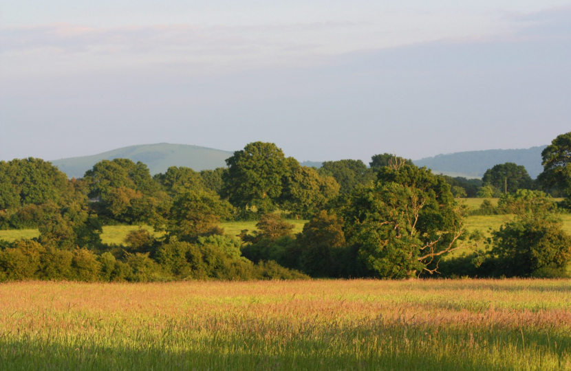 Countryside