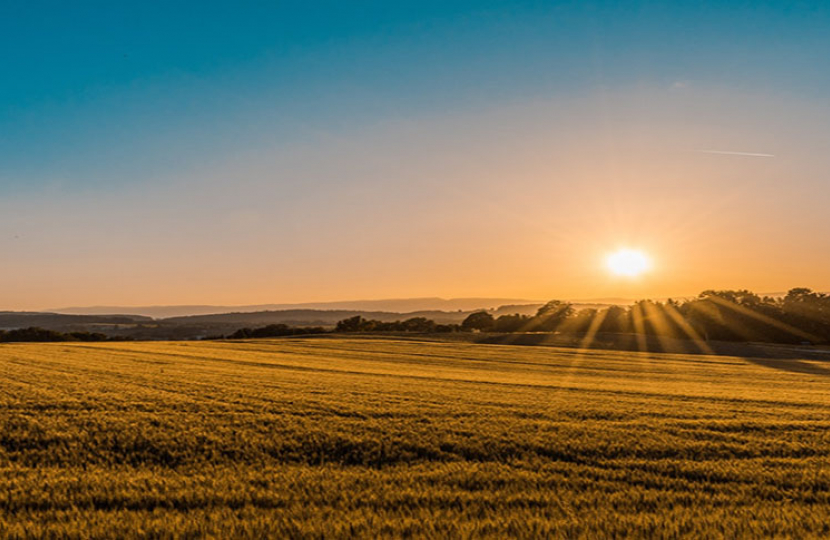 Countryside