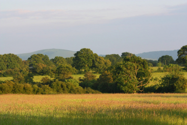 Countryside